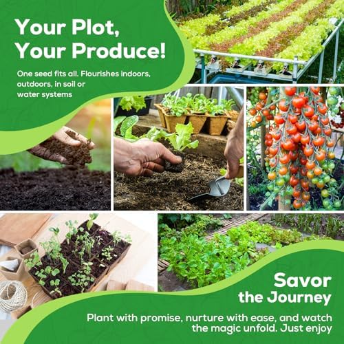 30 Vegetable Seeds Variety Pack, 17240+ Non-GMO Heirloom Seeds for Planting Vegetables and Fruits in Individual Seed Packets, Home Garden Seeds for Hydroponic, Indoor and Outdoors Gardening - Image 3
