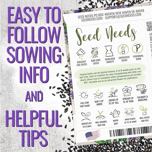 Seed Needs Blue Hyssop Seeds to Plant an Herb Garden - 1 Pack - Image 3