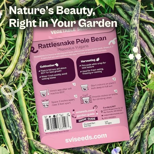 SVI 50 Rattlesnake Beans Seeds (Phaseolus vulgaris) – String Green Bean Seed Packets, Heavy Producing Green Beans – Non GMO Heirloom Vegetable Seeds for Trellis Home Garden & Outdoor Vegetable Garden - Image 2