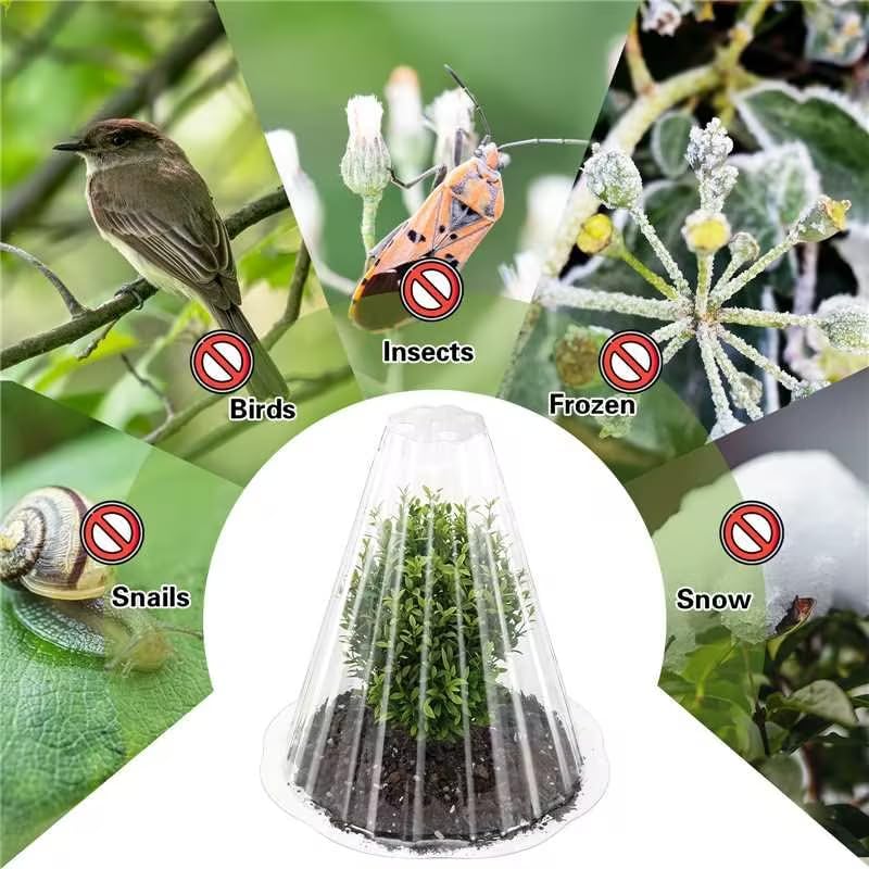 Cloches for Plants, 20pcs Transparent Plant Covers, Reusable Plant Protectors from Animals Plant Bell Cover Freeze Protection, Garden Cloches from Birds, Slugs, Frost, Freeze Weather - Image 5
