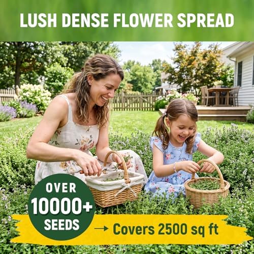 10,000+ Lemon Thyme Seeds for Planting – Creeping Thyme Ground Cover Herb, Fragrant Perennial Herb for Herb Garden, Walkways, Lawn Edging, Fence Line, Wall Cover & Pollinator Friendly Landscaping - Image 6