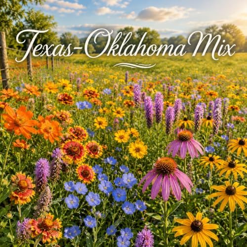 Wildflower Seeds for Central & Western Texas – 9-Species Regional Blend for Full Sun, Heat & Dry Conditions; Annual & Perennial Flowers; 1 lb Covers Up to 3,200 sq ft – Paper Street Perennials - Image 2