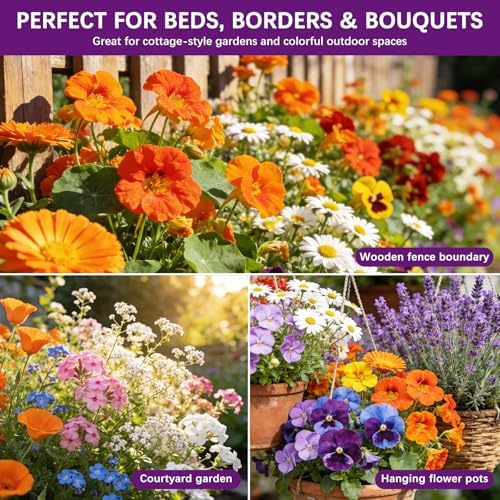 Wildflower Seeds Mix 1/2 lb, 19830+ Seeds Perennial& Annual 36 Varieties Flower Seeds for Planting，Non-GMO Heirloom Bulk Wild Flower Seeds for Indoor & Outdoors, FlowerSeed Packets for Home Garden - Image 5
