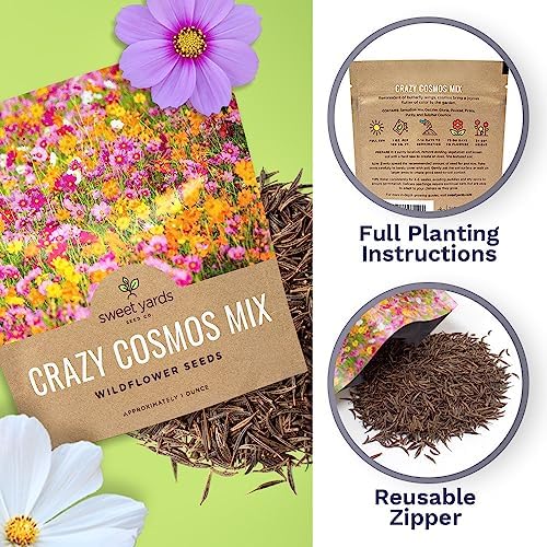 Cosmos Seeds Wildflower Mixture - Bulk 1 Ounce Packet - Over 5,000 Seeds - Pink, Yellow, Orange, Red, Purple and White Mixed Species! - Image 5