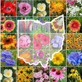 Eden Brothers Ohio Wildflower Mixed Seeds for Planting, 5 lbs by EdenBrothers