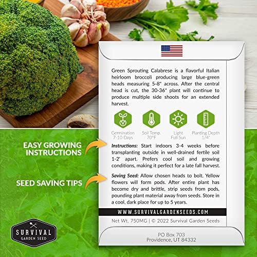 Green Sprouting Calabrese Broccoli Seeds for Planting (3 Packs) - Image 2