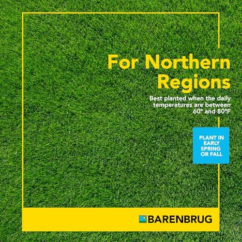 Pasture Seed, 25 lb 23094 - Image 3