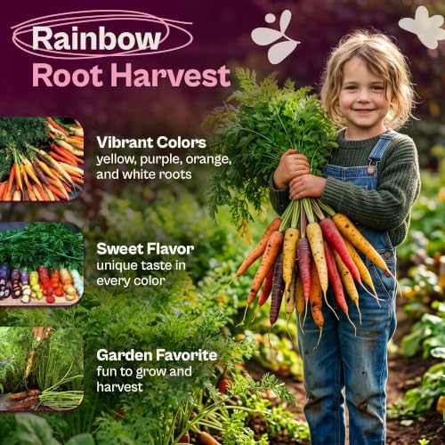 SVI 2500 Rainbow Blend Carrot Seeds (Daucus carota) – Rainbow Carrots Seed Packets, Carrot Seed Mix, Tri Colored Carrots – Heirloom Vegetable Seeds for Outdoor Vegetable Garden - Image 3
