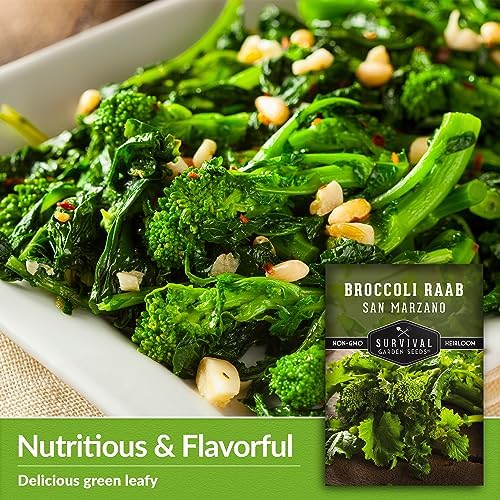 San Marzano Raab Broccoli Rabe Seeds for Planting (1 Pack) - Image 4