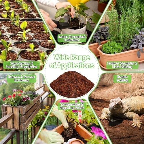 Riare 100 Pcs 30mm Organic Coco Coir Seed Starter Soil, Compressed Coconut Coir Potting Soil Mix for Seed Starting, Coconut Fiber Pellet for Planting Indoor & Outdoor Plants, Vegetables, Garden - Image 7