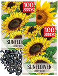 Seed Needs Henry Wilde Sunflower Seeds to Plant Cut Flowers - 2 Packs by SeedNeeds