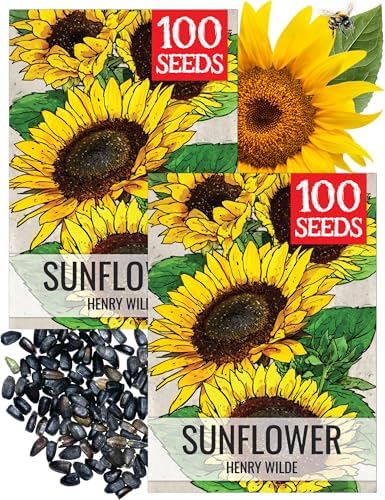 Seed Needs Henry Wilde Sunflower Seeds to Plant Cut Flowers - 2 Packs by SeedNeeds