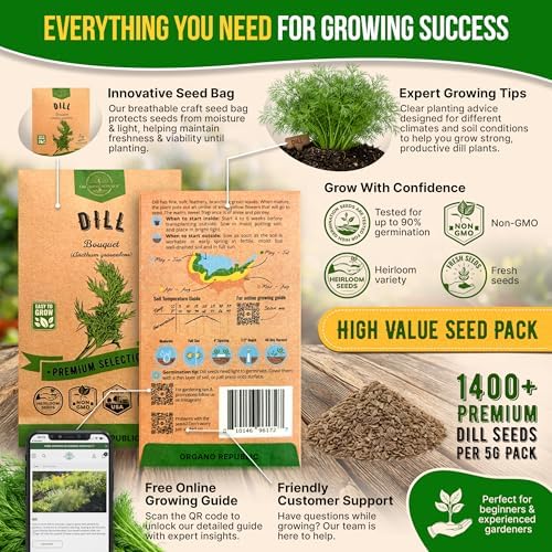Organo Republic Dill Bouquet Seeds Pack 5 G - Over 1,400 Non-GMO Heirloom Dill Seeds for Planting Herbs in Individual Seed Packet, Herbs Seeds for Planting Home Garden Indoor & Outdoor Gardening - Image 3