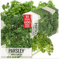 Seed Needs Curly Parsley Seeds to Plant an Herb Garden - 10 Packs by SeedNeeds
