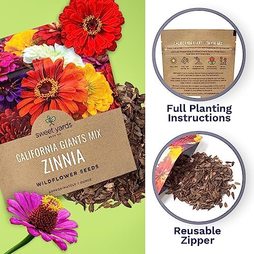 Zinnia Seeds - California Giants Mix - Large 1 Ounce Packet - 3,000 Flower Seeds - Mixed Colors and Large Blooms (Pack of 3) - Image 5