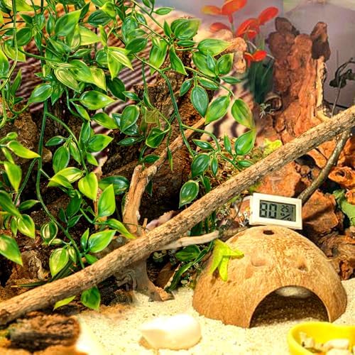HERCOCCI Reptile Plants, 3 Pack Terrarium Hanging Plants Vines Artificial Leaves Habitat Decorations with Suction Cup for Bearded Dragon Hermit Crab Lizard Snake Geckos Chameleon - Image 3