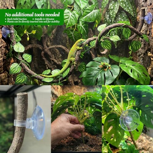 5 Pcs Reptile Plants & Habitat Decor Kit - 3 Artificial Plants & Large 5ft Jungle Vine Branch, Terrarium Tank Decor & Climbing Accessories for Gecko (Polka Dot Begonia, Monstera Adansonii, Alocasia) - Image 6