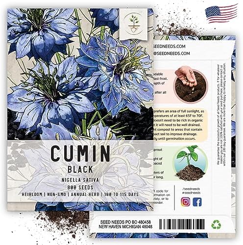 Seed Needs Black Cumin Seeds to Plant an Herb Garden - 2 Packs - Image 6