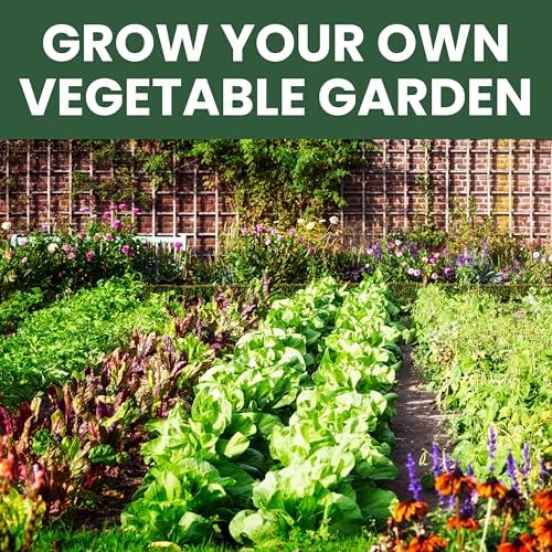 35 Vegetable Seed Packets | Survival Variety Pack | 2026 Season | Individually Packed Vegetables, Herbs and Fruits | Emergency Seed Vault for Doomsday Prepping | by Family Sown - Image 5