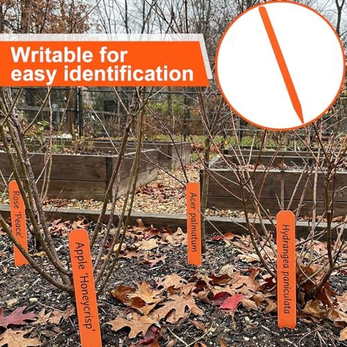 Weysat 100 Pcs 12" Wood Plant Labels for Field or Containers Plant Tags Wood Garden Labels for Seedling Stakes Markers Nursery Seed Tags with Smooth Surface for Pot Herbs Flowers Vegetables (Orange) - Image 5