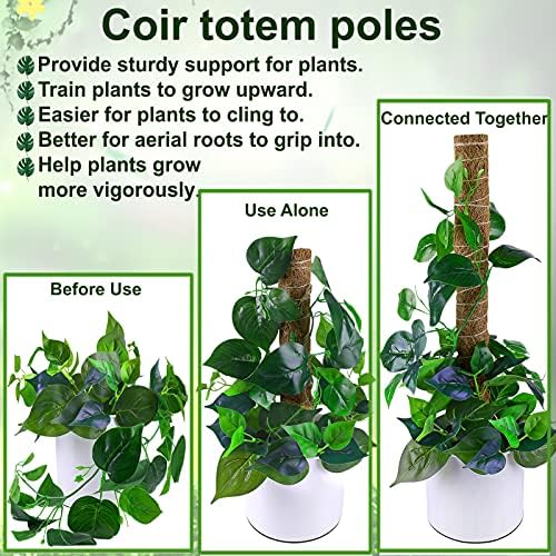 Fabulas Moss Pole 58.7 Inch - Monstera Plant Support 5 Pack, 17.5" and 12" Plant Stakes for Indoor Plants Coco Coir Moss Pole Sticks for Climbing Potted Live Plants, Pothos, Philodendron - Image 2