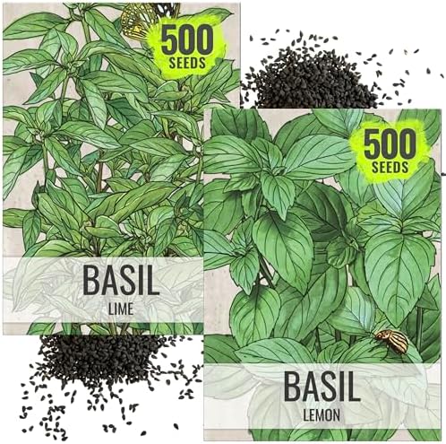 Seed Needs Basil Seeds Duo Pack - Non-GMO & Heirloom Lemon & Lime by SeedNeeds