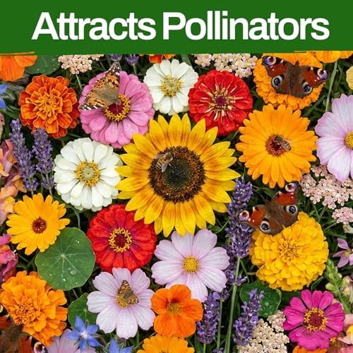 10 Varieties Flower Seeds in Individual Packs, 66,600+ Non-GMO Seeds Indoor Outdoor, Includes Zinnia Lavender Sunflower Marigold Cosmos Nasturtium Snapdragon Borage Yarrow Calendula, Wildflower Seeds - Image 4