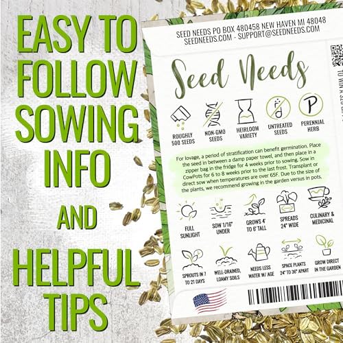Seed Needs Lovage Seeds to Plant an Herb Garden - 20 Packs - Image 4
