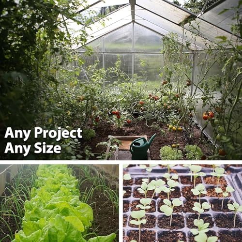 Mountain Valley Seed Co Southwest Wildflower Mix Seeds 7 Gram ~30 Seeds - Image 4