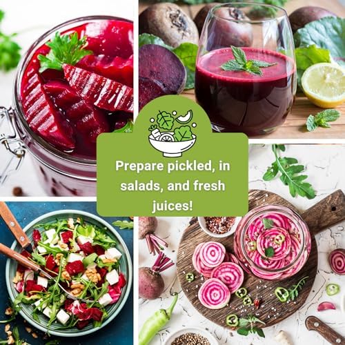 Sow Right Seeds - Beet Seed Collection for Planting Spring or Fall Garden - Image 5