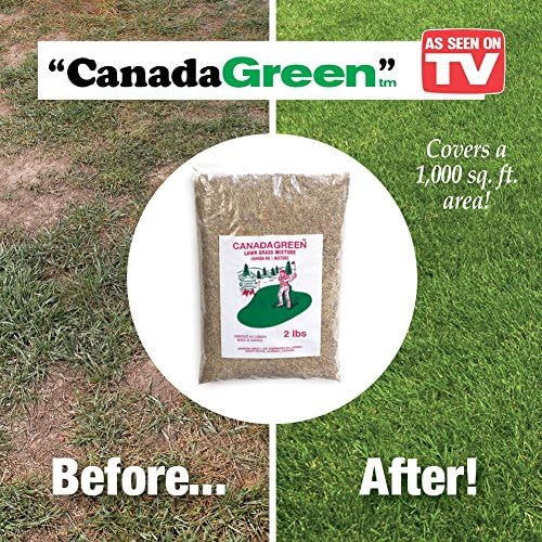 Canada Green Grass Seed - 2 Lb. Bag, Brown - Image 2