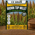 200 Brown Top Millet Seeds | Warm Season Grass Seeds for Planting by CZGrain