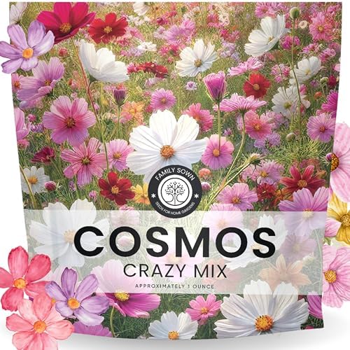 Crazy Cosmos Mix - Large 1 Ounce Packet - 5,000 Flower Seeds for Planting - Cosmos bipinnatus by FamilySown