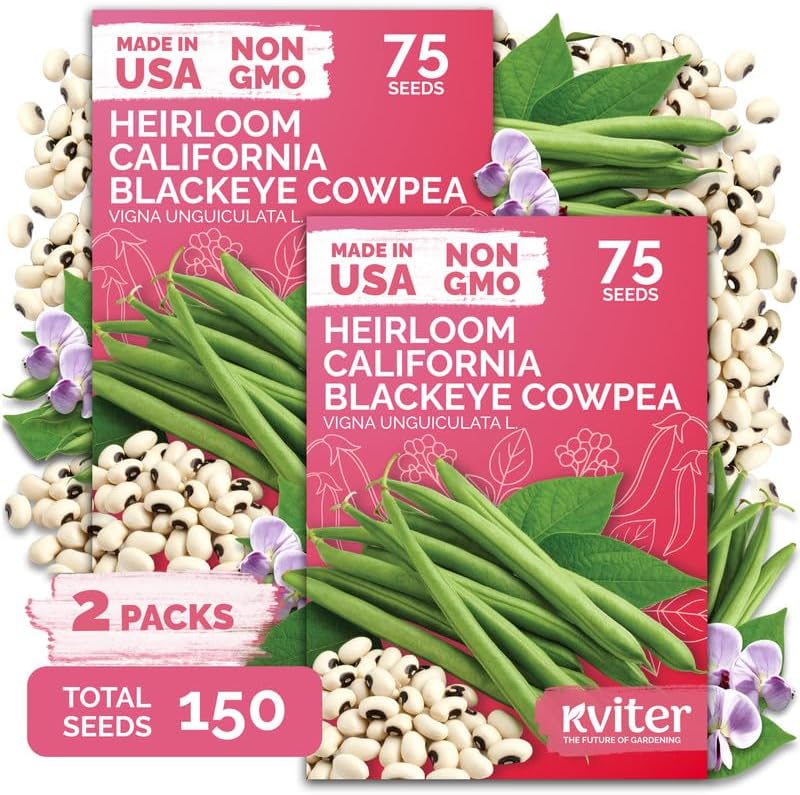 150 California Black Eyed Peas Vegetable Seeds, Vigna Unguiculata L. by KVITER