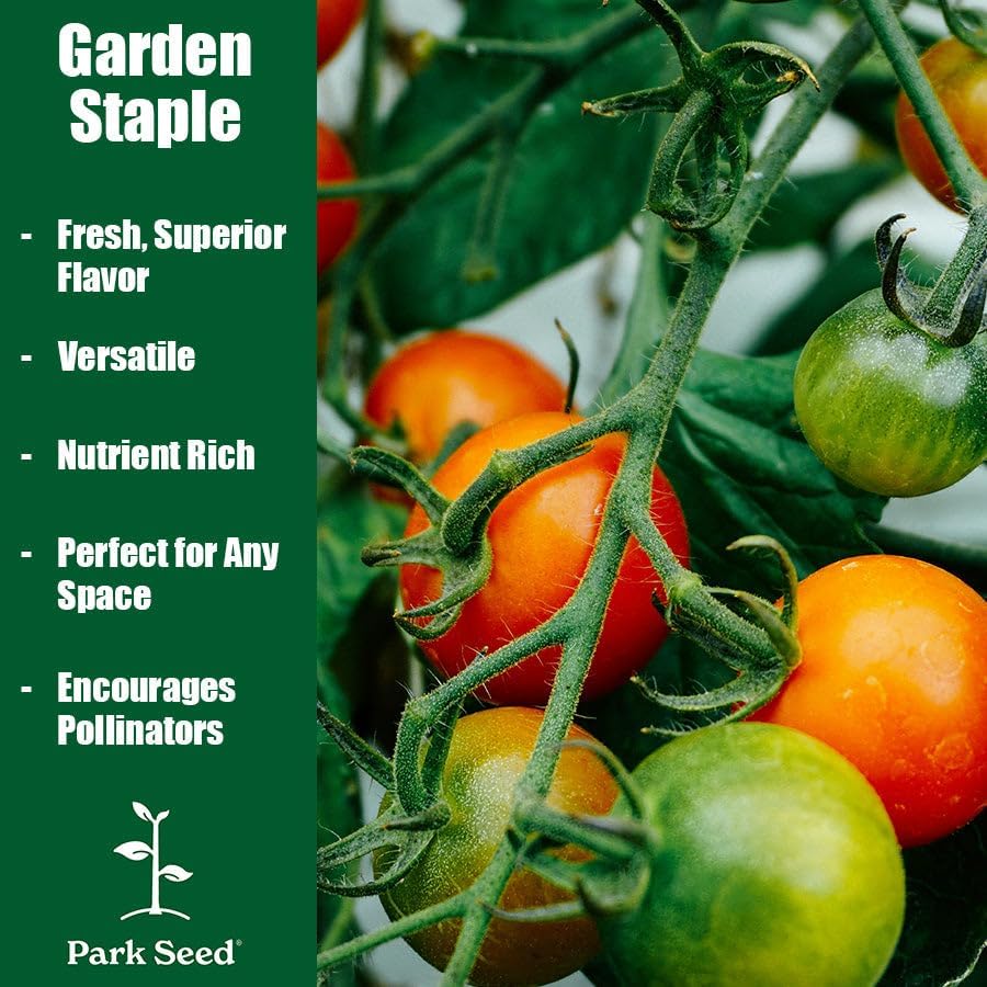 Park Seed Cherry Tomato Seeds, Planting Vegetables, Easy to Grow, Non-GMO, Variety of Colors and Sizes, Spring Garden, Chocolate Cherry, Pack of 30 - Image 5