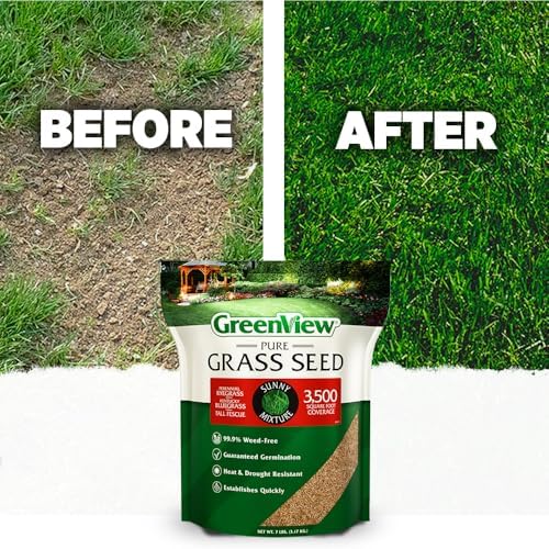 GreenView Pure Grass Seed Sunny Mixture, 20 lb. Bag - Image 5