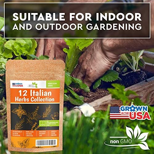 12 Italian Herb Seeds Pack - Heirloom and Non GMO, Grown in USA - Indoor or Outdoor Garden - Four Basil Varieties and Parsley, Cilantro, Rosemary, Thyme, Oregano, Marjoram, Sage, Arugula - Image 3