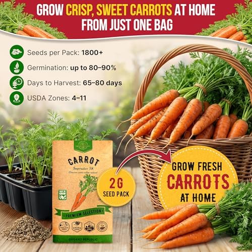 Imperator 58 Carrot Seeds Pack 2G - Over 1800 of Non-GMO Heirloom Carrot Seeds for Planting Vegetables in Individual Seed Packet, Vegetable Seeds for Planting Indoor & Outdoor Garden - Image 4