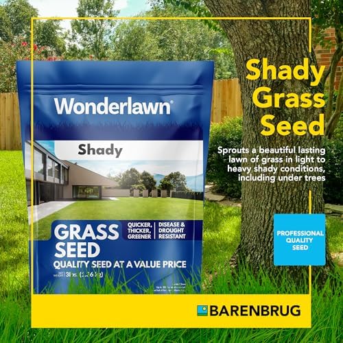 Barenbrug Wonderlawn Shady Grass Seed Mix for Lawn Care and Landscaping, 3 lbs. Bag - Image 2