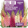 5,500 Foxglove Excelsior Mix Heirloom Flower Seeds, Digitalis Purpurea by KVITER