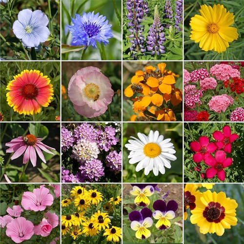 Ferry-Morse Sun-Shade Bulk Wildflower Seeds, 390,000+, 1 lb - Image 2