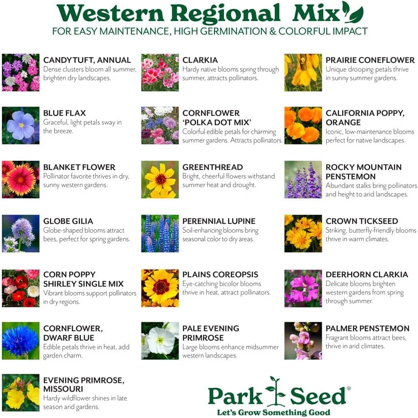 Park Seed Grow Your Own Vibrant Annual and Perennial Wildflower Garden Seeds Mixture, Easy to Grow Varieties for Pollinators and Spring Gardens - Western Regional Mix, 10 lbs - Image 3