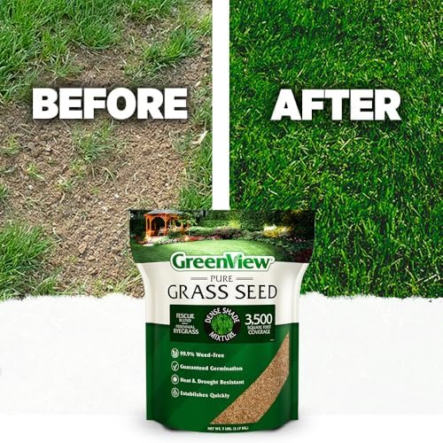 GreenView Pure Dense Shade Grass Seed Mixture, 20 lb, 5,000-10,000 sq. ft. - Image 5