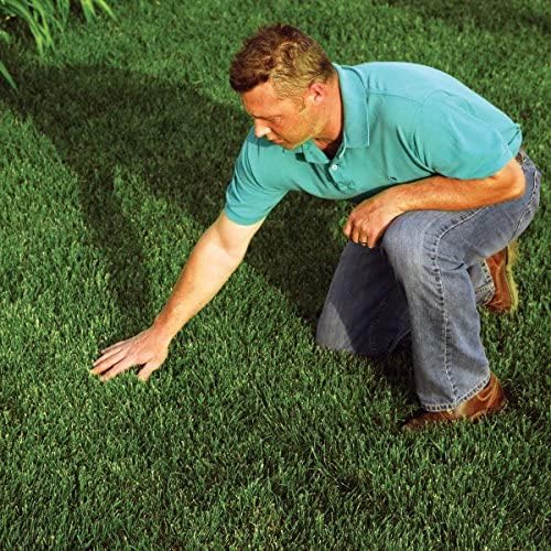 EZ Straw Grass Seed Germination and Erosion Control Blanket, 4 ft x 50 ft, Covers 200 sq ft – Protects and Assists in Grass Seed Growth - Image 4