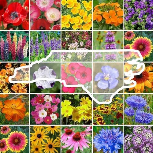 Eden Brothers North Carolina Wildflower Mixed Seeds for Planting, 1/4 lb by EdenBrothers