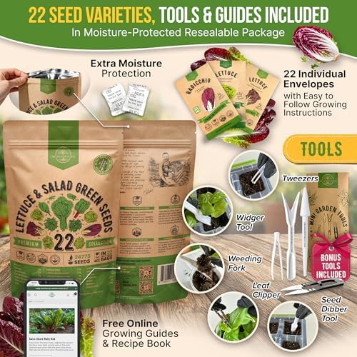 Organo Republic 22 Lettuce & Salad Greens Seeds Variety Pack 24,700+ Non-GMO Heirloom Lettuce Seeds for Indoor & Outdoor Garden, Hydroponic & Aeroponic - 2026 Season - Arugula, Spinach, Swiss Chard - Image 3