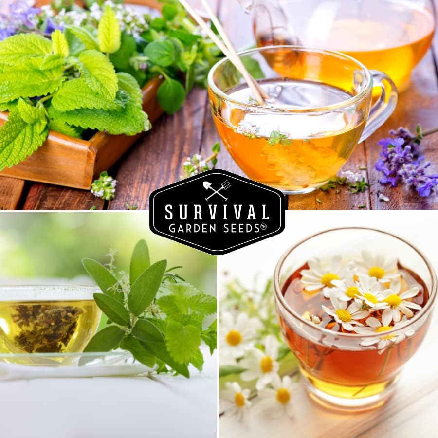 Medicinal Tea Herb Seeds for Planting | 9 Varieties - Survival Garden Seeds - Image 5