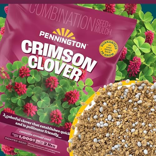 Pennington Pennington Crimson Clover 2 Pounds - Image 3