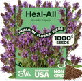 SVI 1000 Heal All Seeds (Prunella Vulgaris) - Self Heal, Medicinal Herb with Purple Blooms, Drought Tolerate, Easy Grow – Perennial Flower Seeds in Seed Packets for Outdoor Garden, Containers, Borders by SVI