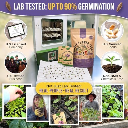 Organo Republic 15 Edible Flower Seeds Variety Pack for Indoor Outdoor Gardening - 4,800+ Non-GMO Heirloom Flower Seed: Borage, Bishop's Flower, Chicory, Chives, Hyssop, Echinacea, Lavender & More - Image 2